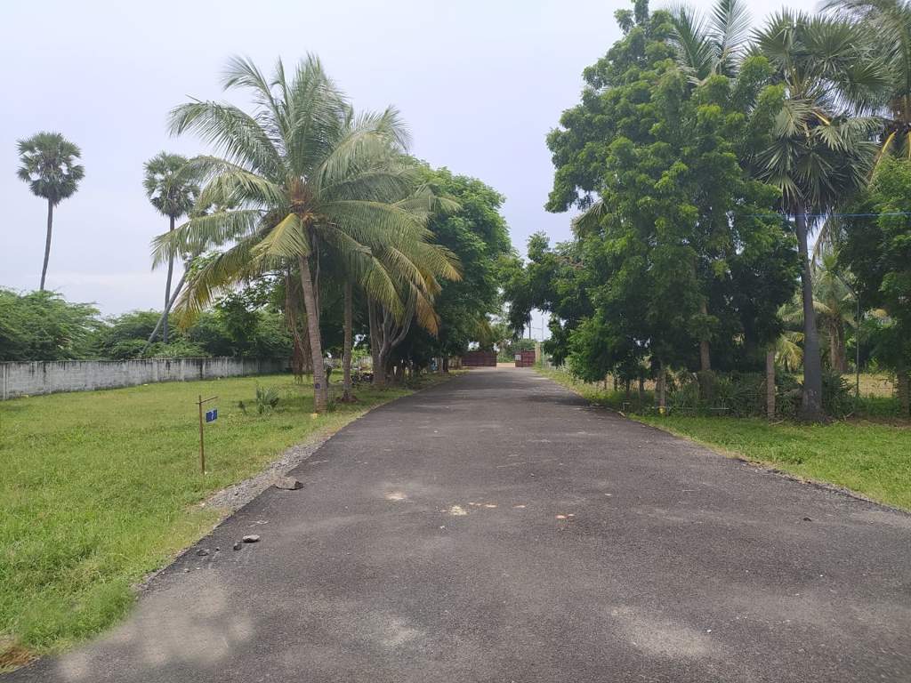  manjusha enclave Plot