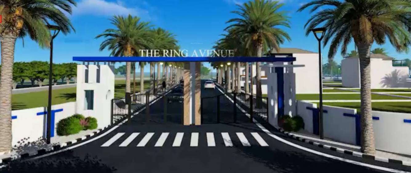 Elevation the ring avenue Elevation