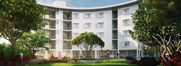  tranquil Landscape Garden and Tree Planting