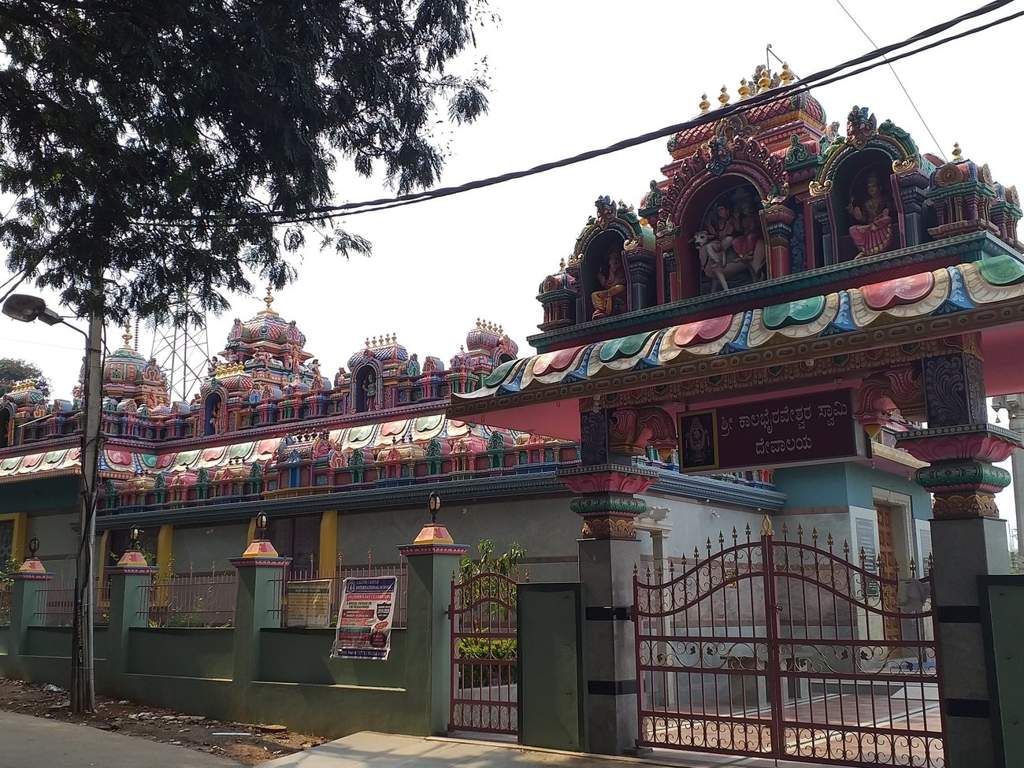 Rooted Shelters AN Rooted White House