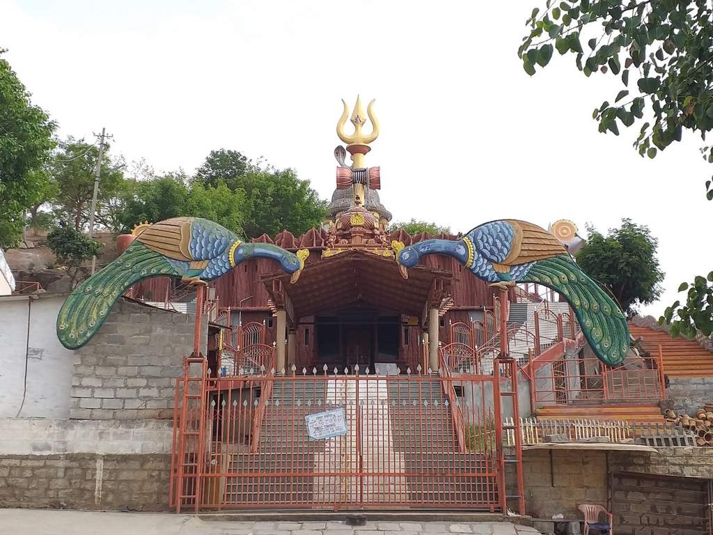 Rooted Shelters AN Rooted White House