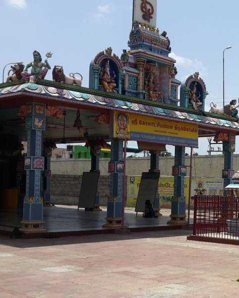 mainOther of VIP VIP Serene