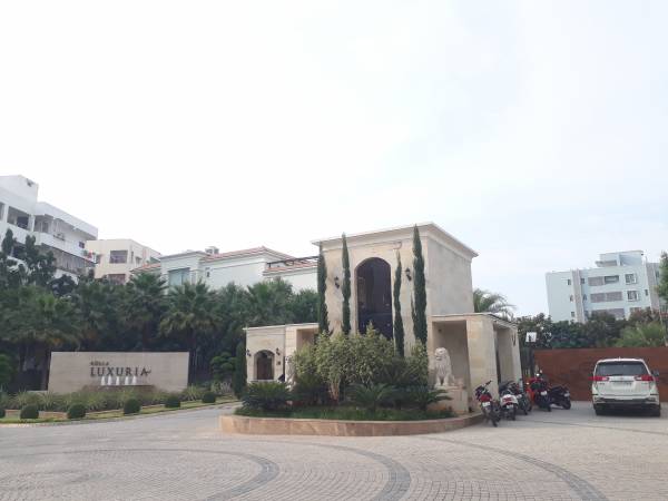  kolla-luxuria Others