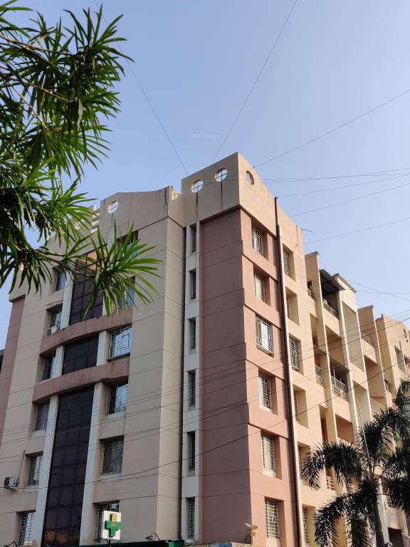  gk fortune Elevation