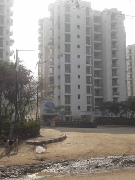 mainOther of Piyush Group Piyush City