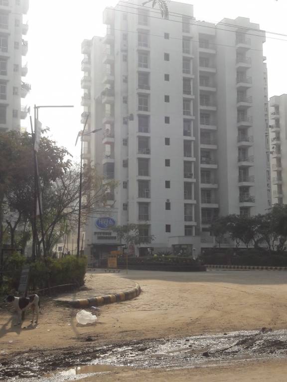 Piyush Group Piyush City