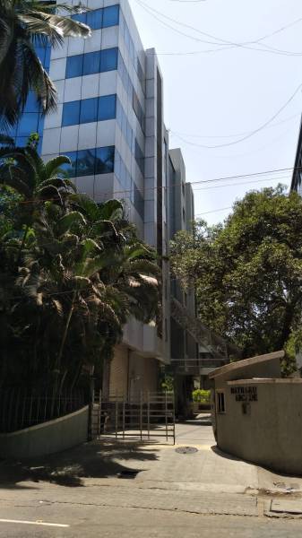 mainOther of ACME Acme Anisha