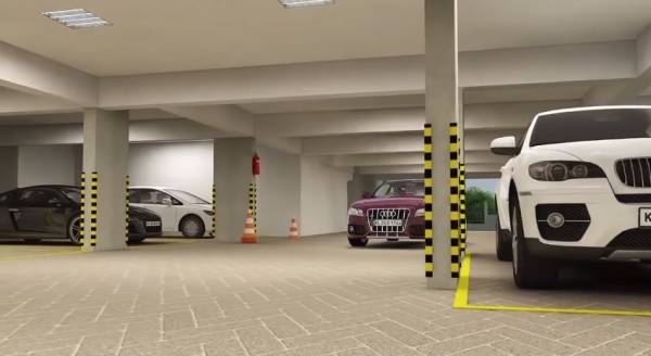  apollo-cypress Others