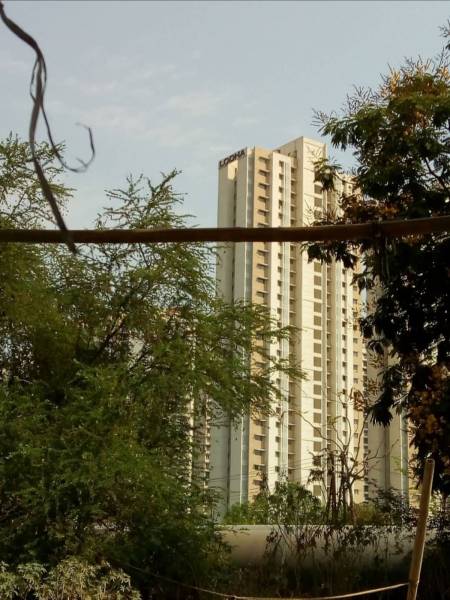  lodha-the-codename-fortune-forever Elevation
