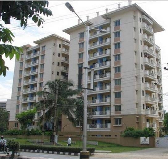  brigade-harmony Elevation