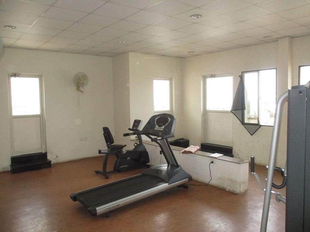  brigade harmony Gymnasium