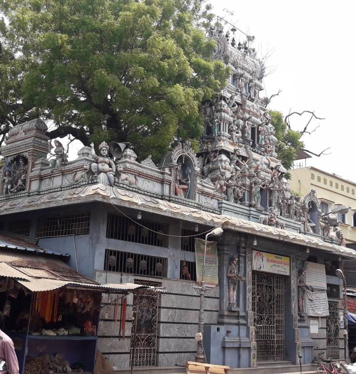 Vin Homes Vin Maragatham