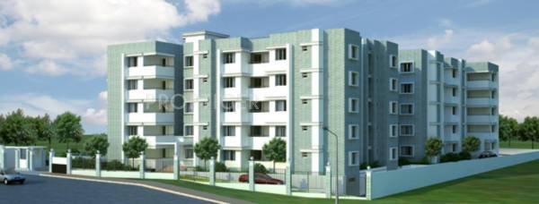 Nandi Constructive Woods