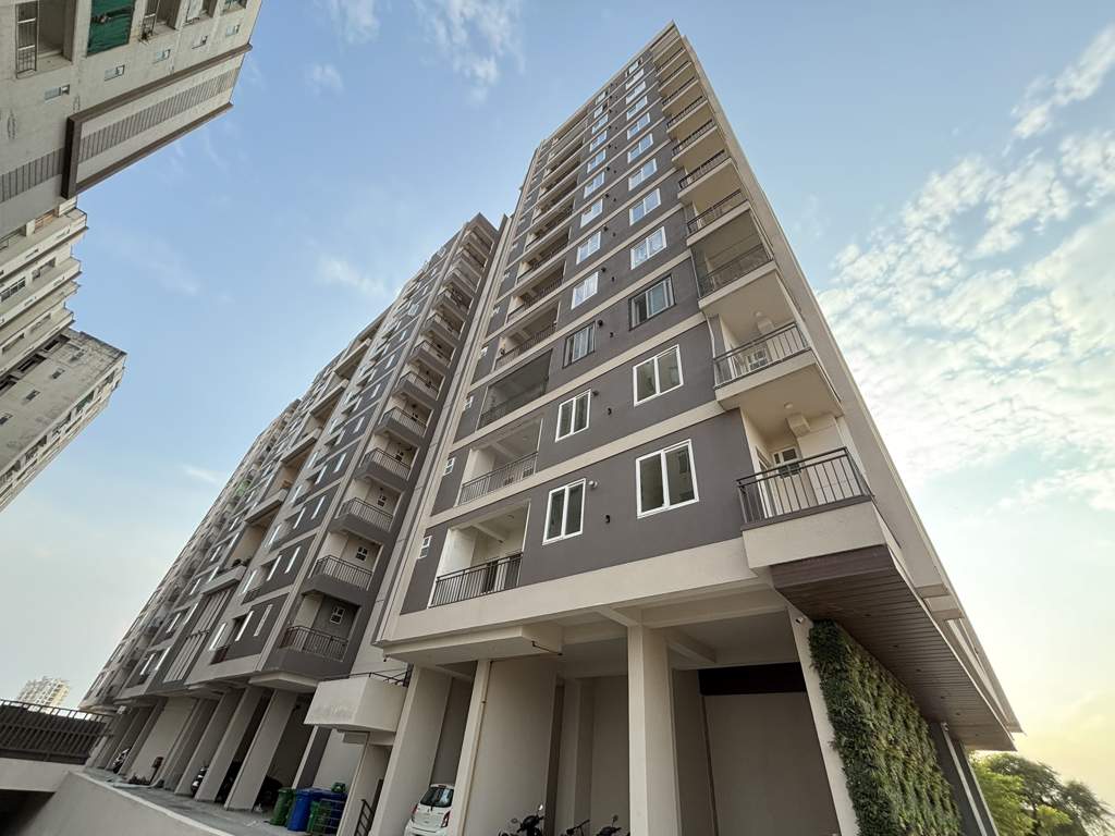  royal gravitaz Elevation