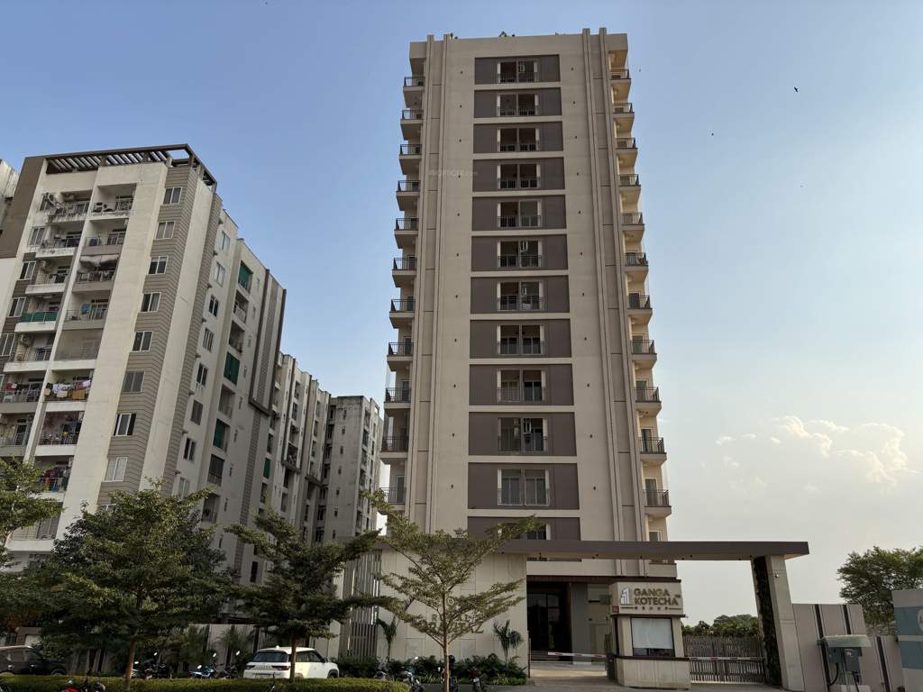  royal gravitaz Elevation