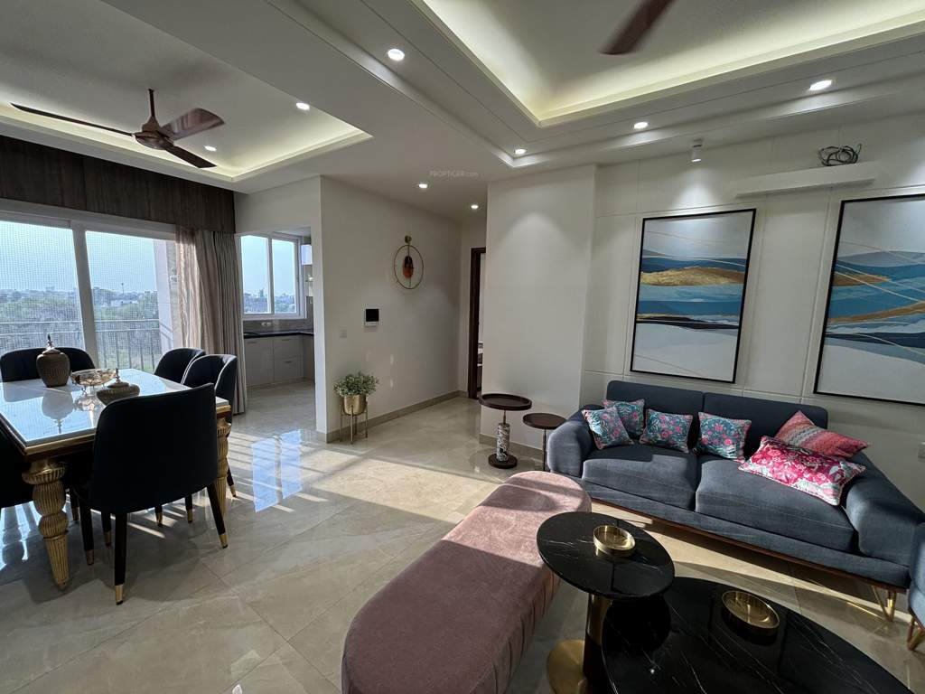  royal gravitaz Living Area