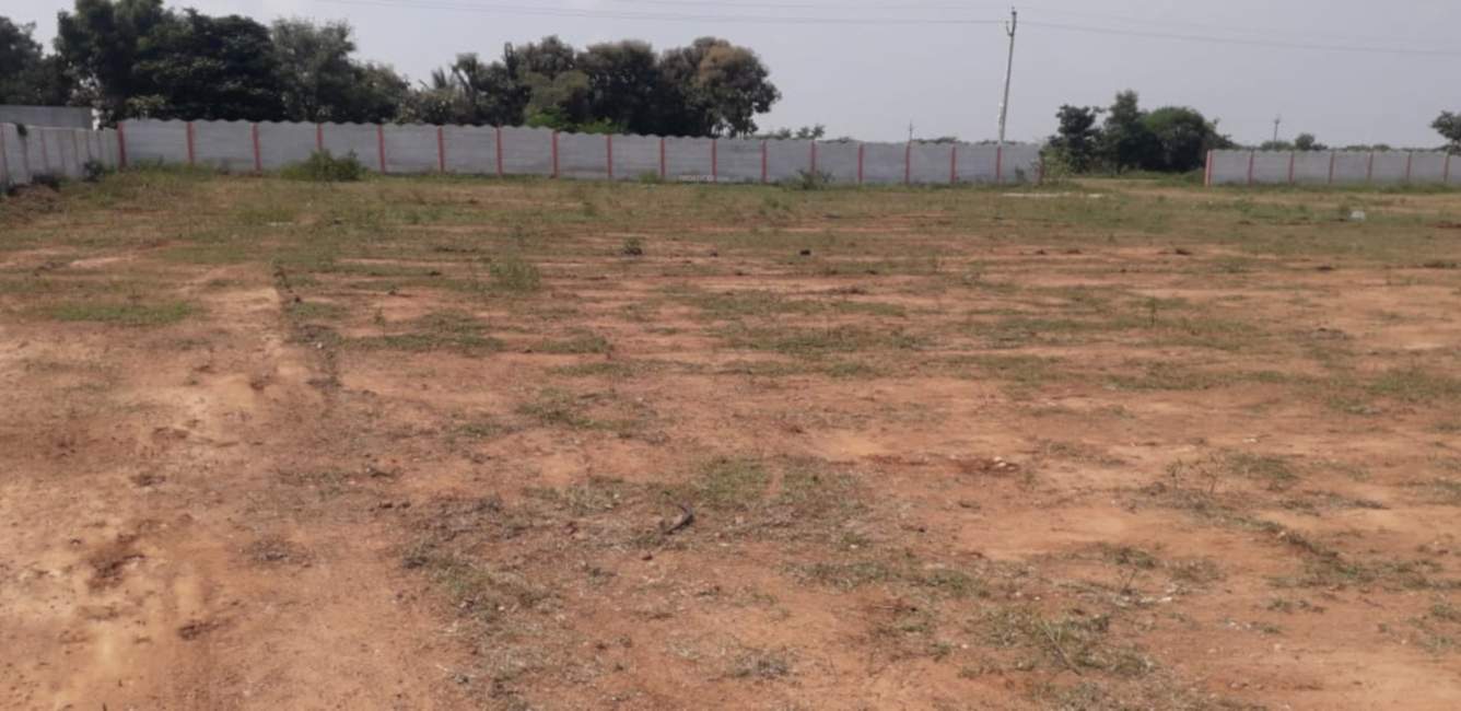  lemon valley Plot