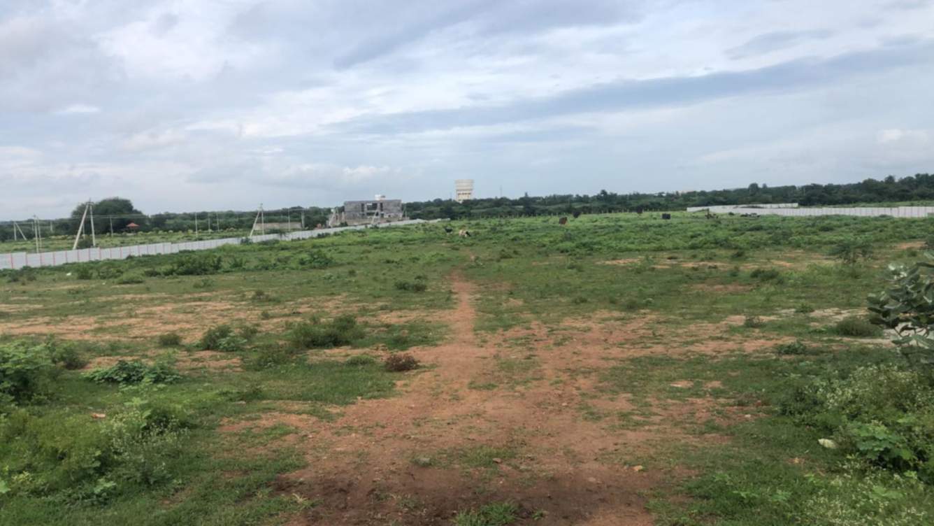  lemon valley Plot