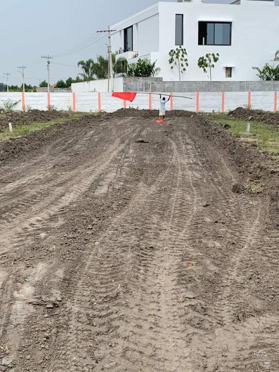  lemon valley Plot