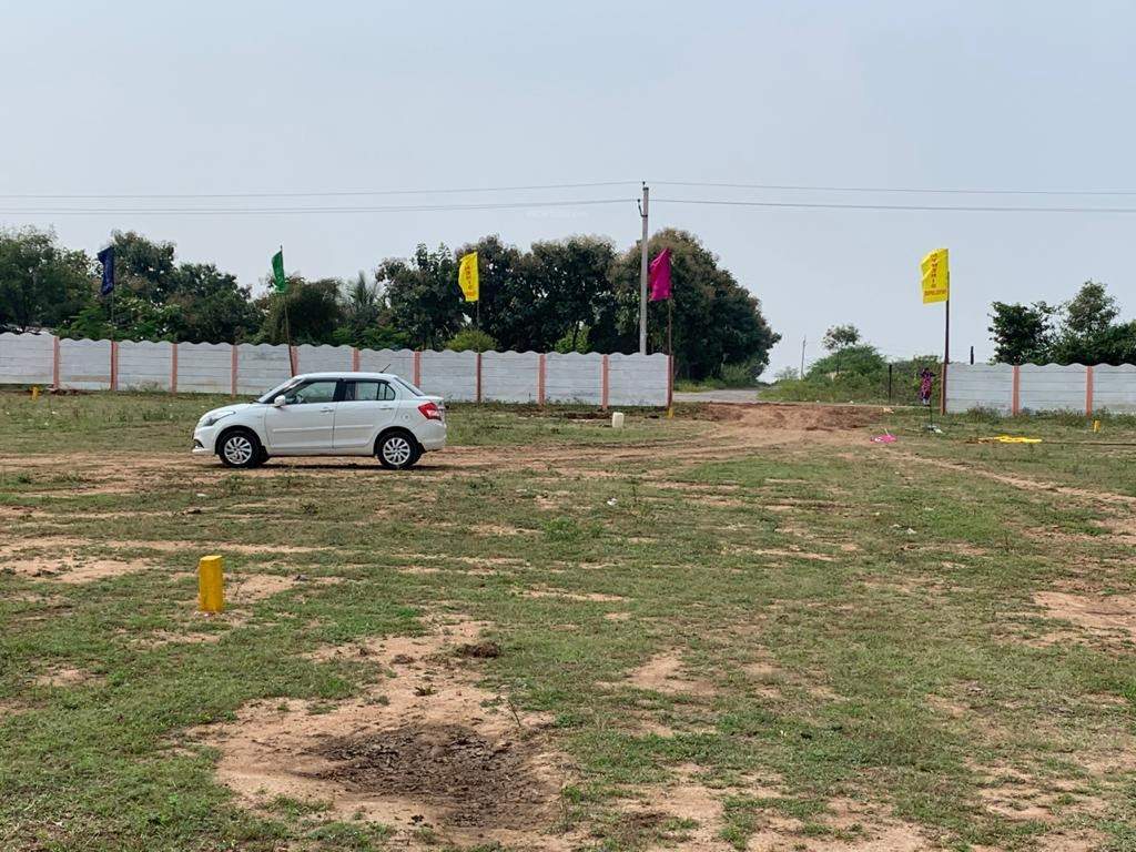  lemon valley Plot