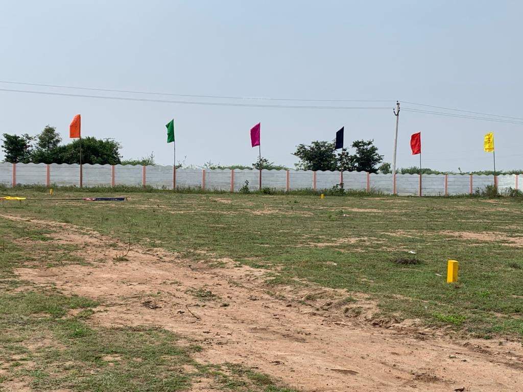  lemon valley Plot