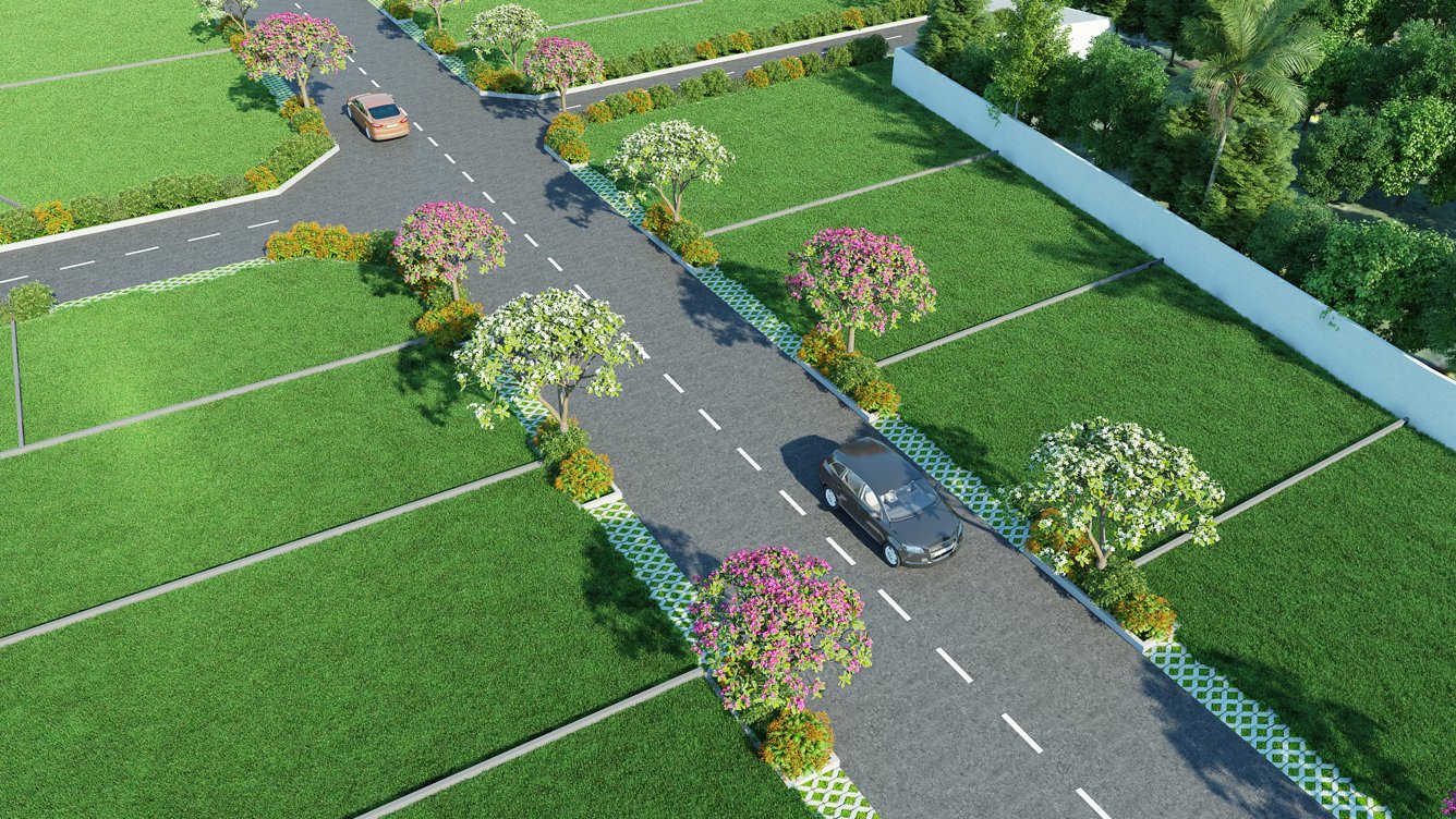  blossom rich Elevation