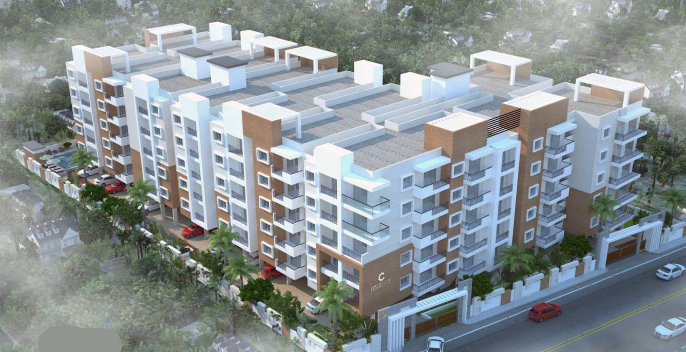  cosmopolis Elevation