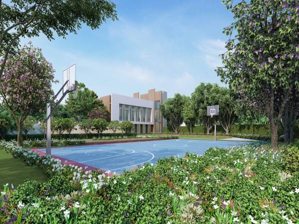 Basketball Court paramount-e Basketball Court