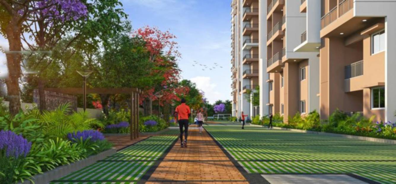 avante Jogging Track