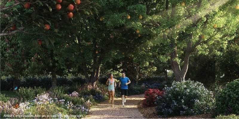  retreat vibe Jogging Track