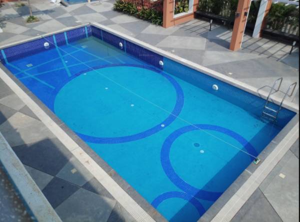  graffiti-elite Swimming Pool