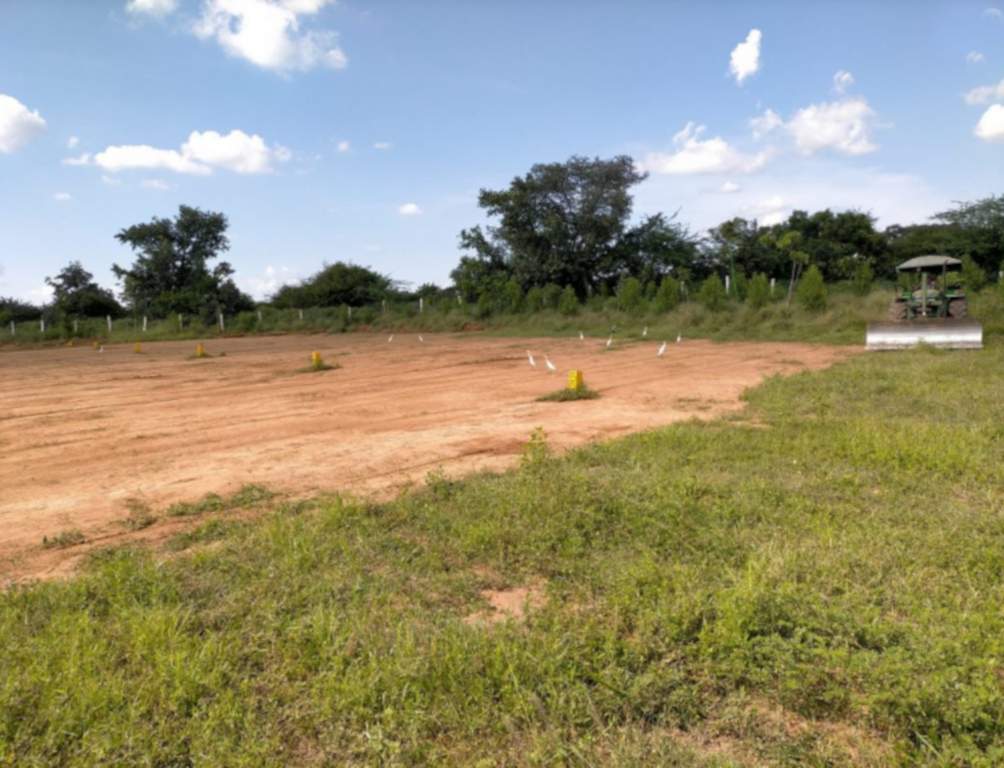  praja city Plot