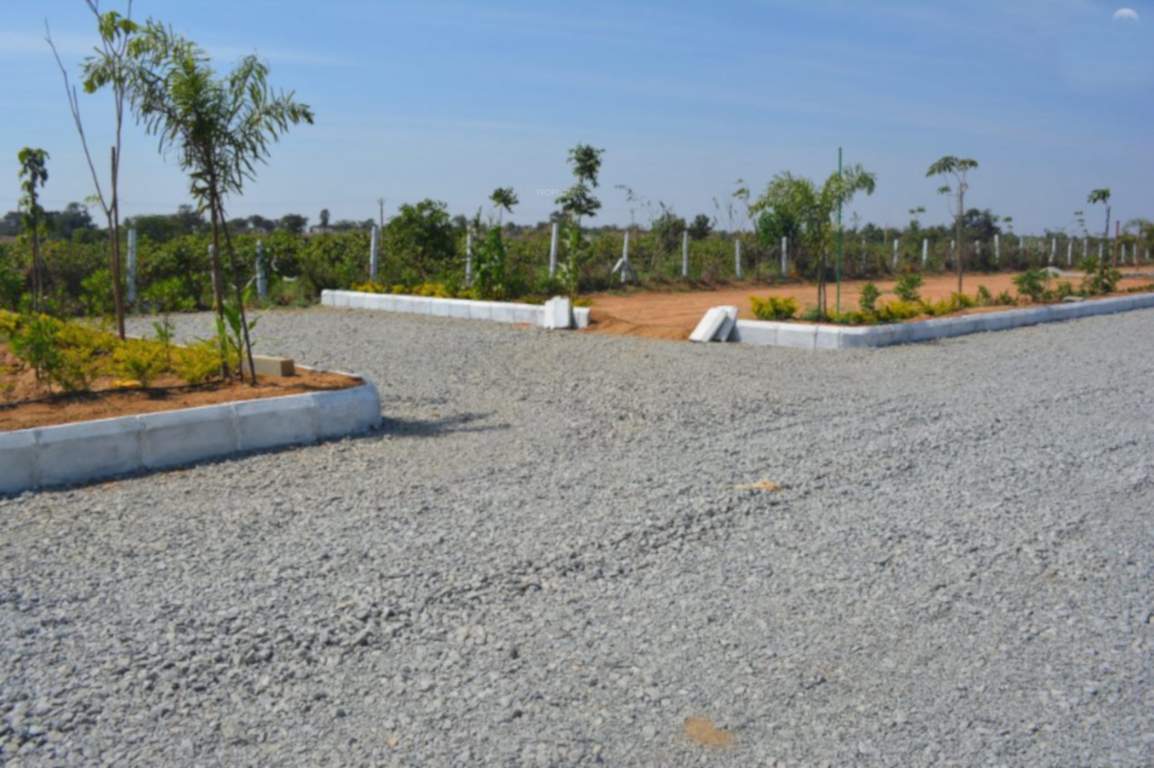  praja city Plot