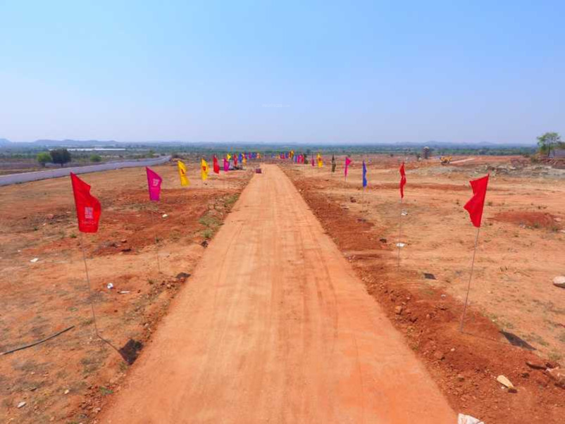  pharma valley Elevation