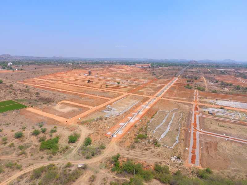  pharma valley Elevation