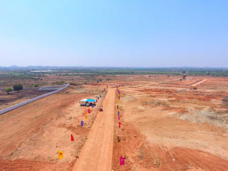  pharma valley Elevation