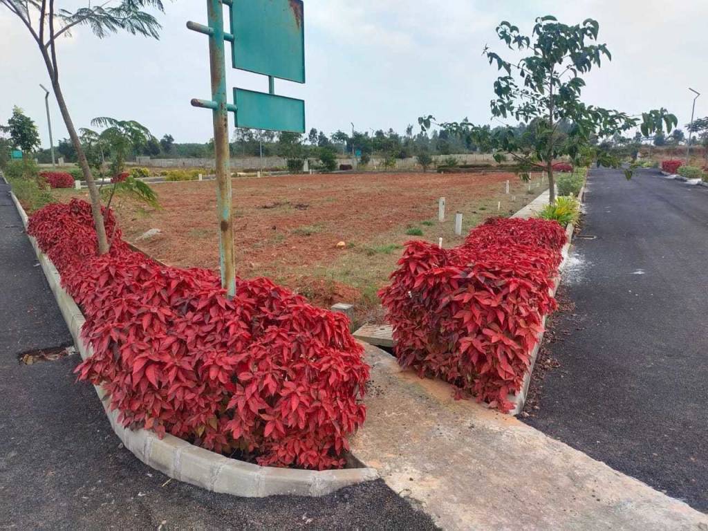 guru punvaanii eka Plot