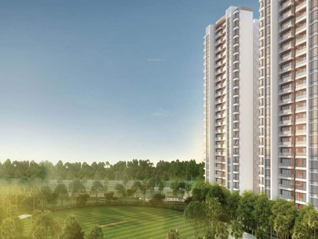  city phase 5 Cricket Pitch