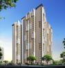 Sarvani Elite
