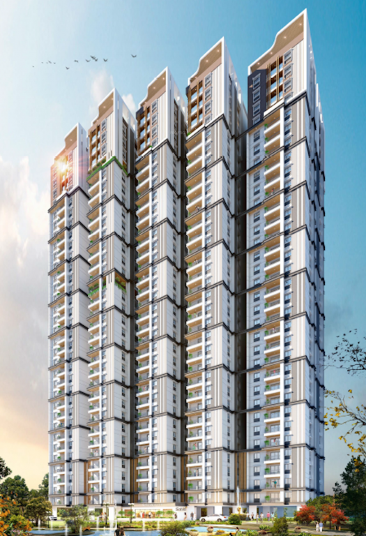  sarvani elite Elevation