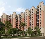 Elevation spring Elevation