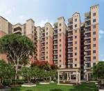 Elevation spring Elevation