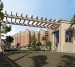 Elevation spring Elevation