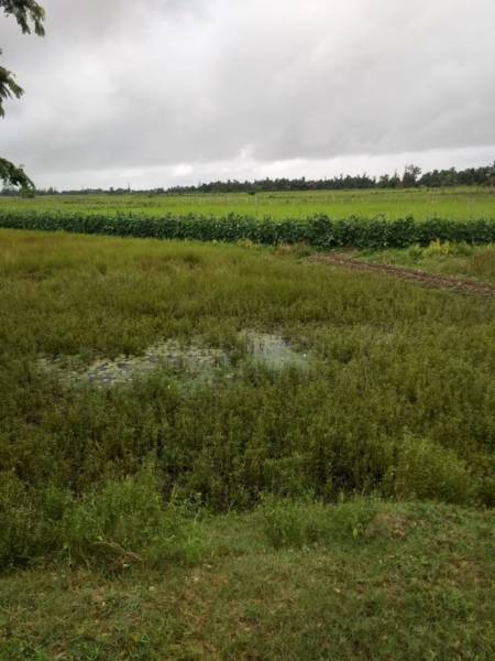  swapna-neer Elevation