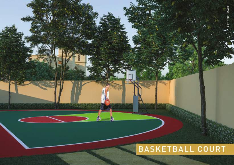  superbia Basketball Court