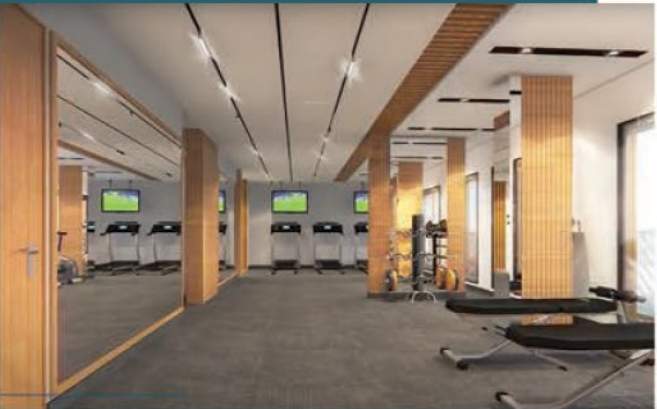  taxmen chsl Gymnasium