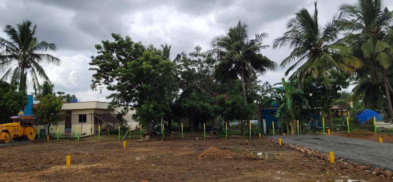  ss nagar Plot