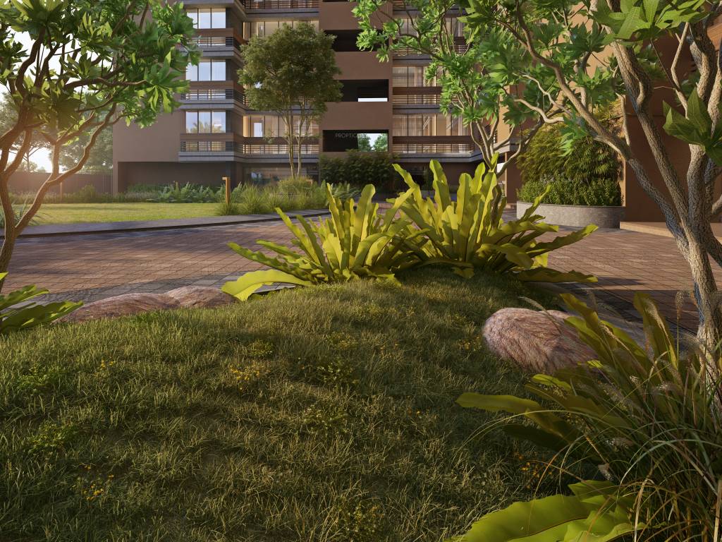  vivaan elementos Others