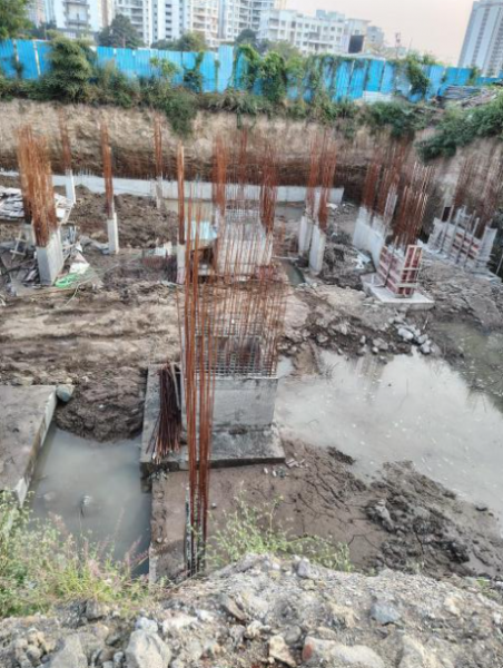  palm-spring Construction Status Oct-24