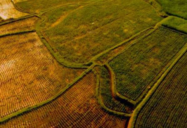 Elevation riyasat-hills Elevation